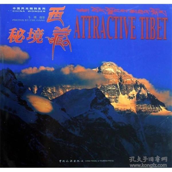 “构建以证据为中心的刑事指控体系”研讨会召开