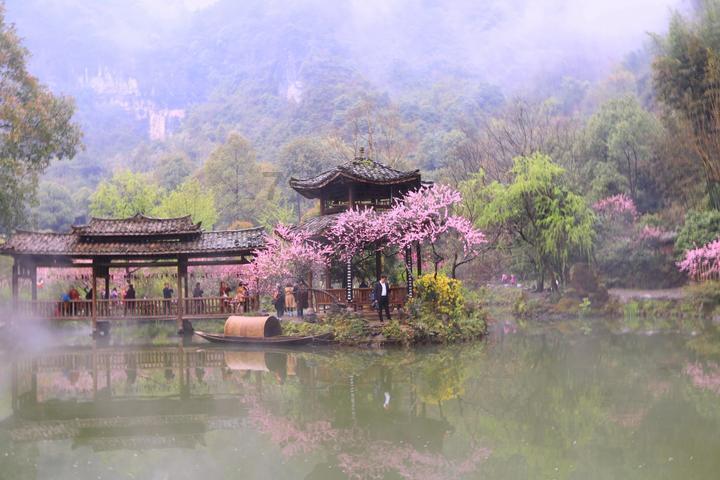 清理草坪