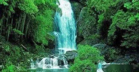 逃出林中村