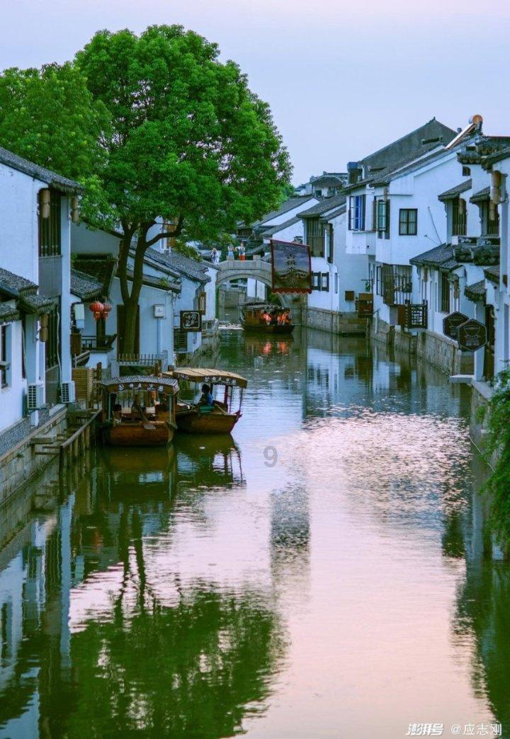 资阳区桥北大市场新春年货节开启